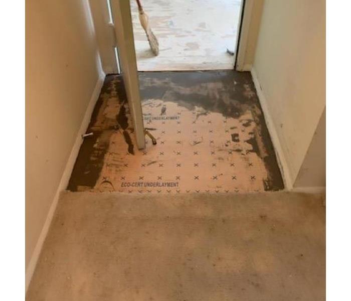 Floor restoration